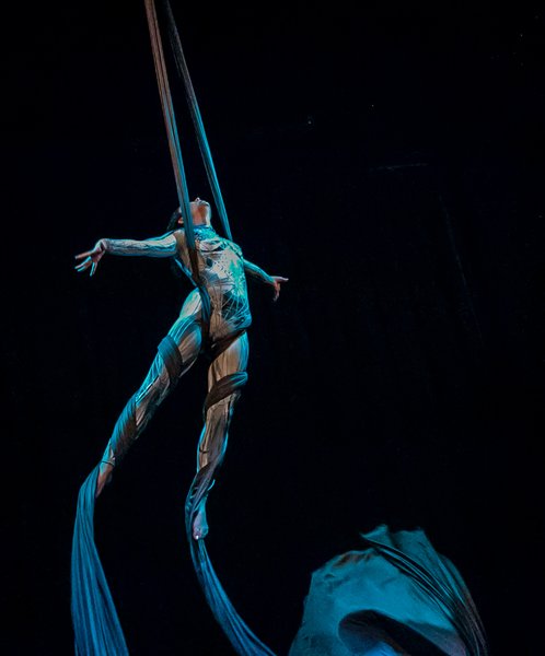 Andrea Cameron profile photo