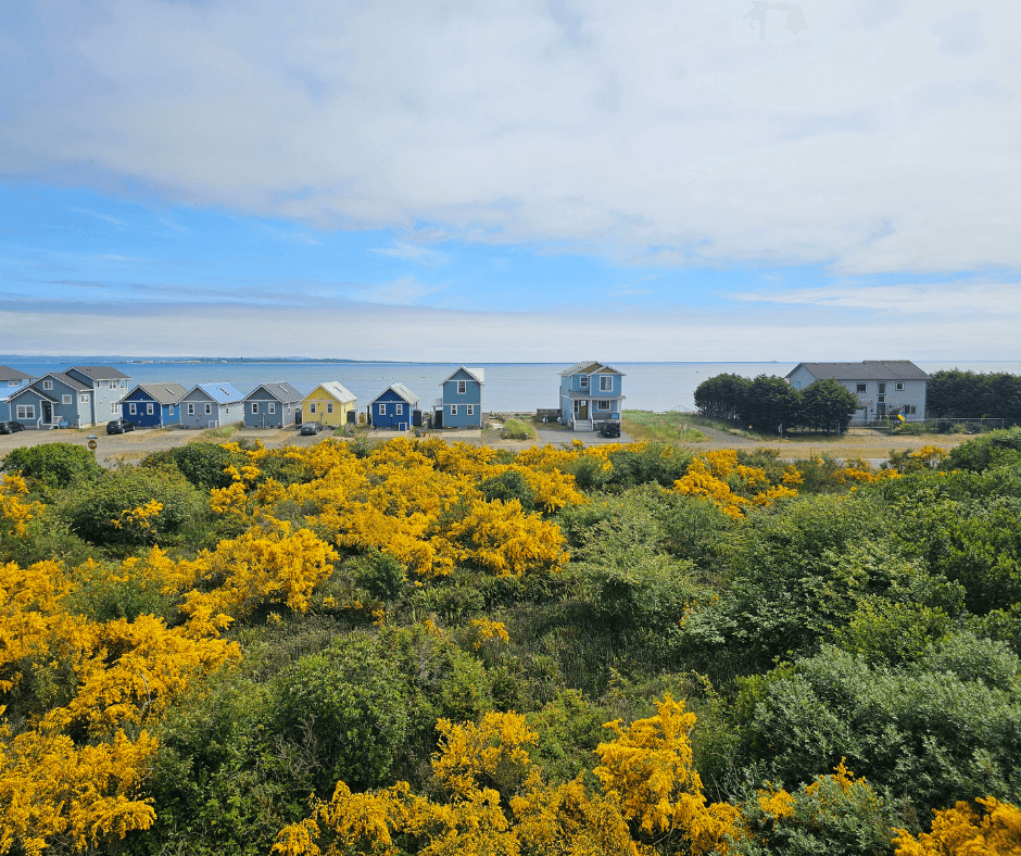 Fall colors and vacation rentals on the bay