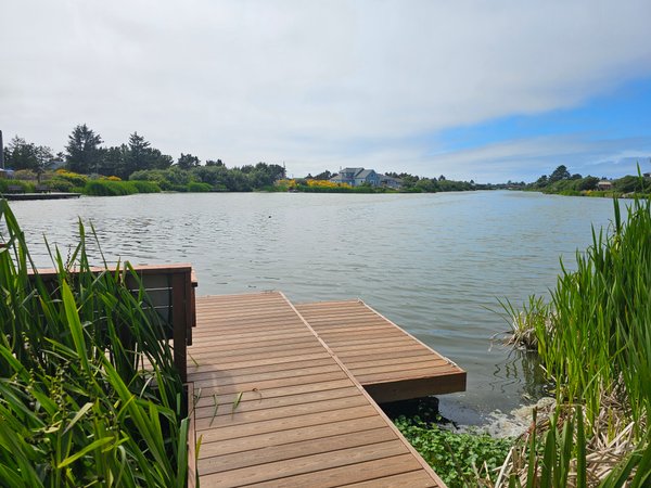 Kayaking the Canals profile photo