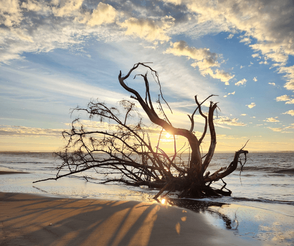 Beaches, Local shops, restaurants profile photo
