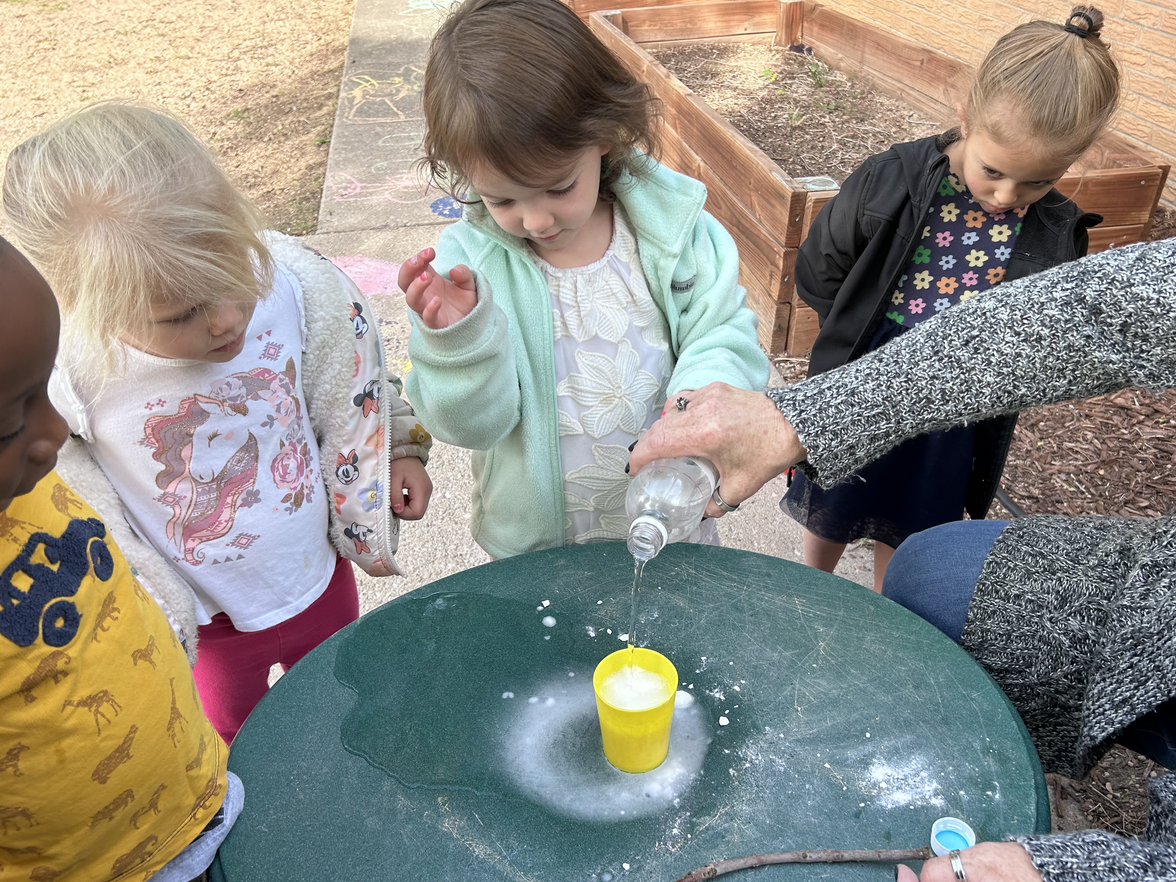 Pre-K doing experiment inside